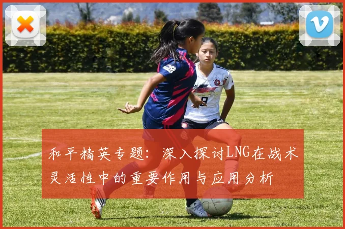 和平精英专题：深入探讨LNG在战术灵活性中的重要作用与应用分析