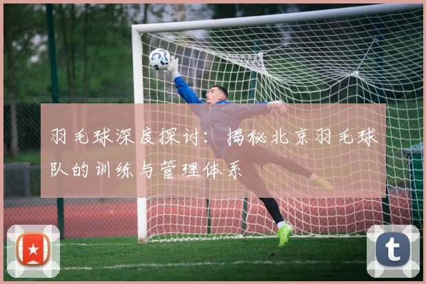 羽毛球深度探讨：揭秘北京羽毛球队的训练与管理体系