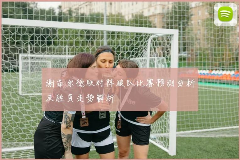 谢菲尔德联对阵狼队比赛预测分析及胜负走势解析